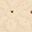 Vanilla
